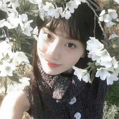 春潮烂漫海棠红